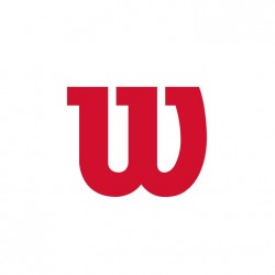 Wilson Balls